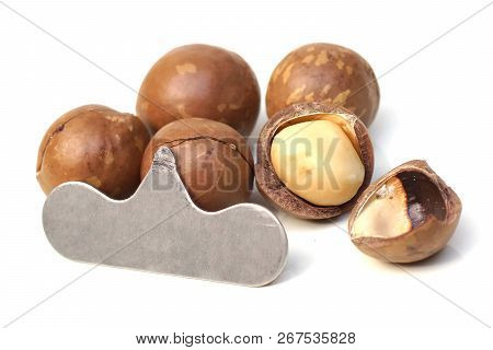 A Nut Cracker Tool With Macadamia Nuts Isolated On White Background