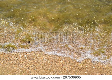 Coastal Sea Waves. Seawater With Seaweed. Coastal Algae. Sea Beach