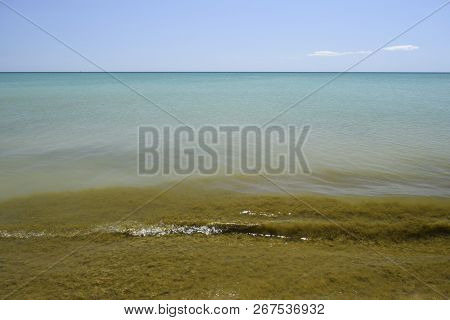 Coastal Sea Waves. Seawater With Seaweed. Coastal Algae. Sea Beach