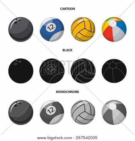Vector Illustration Of Sport And Ball Sign. Set Of Sport And Athletic Stock Vector Illustration.