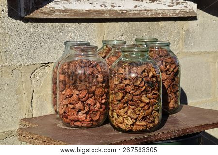 Dried Fruits In The Three-liter Jar. Dried Apples, Cut Into Slices.
