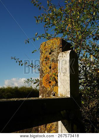 Close Up Of A Tall Old Stone Gatepost With Orange Lichen