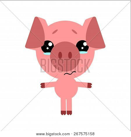 Symbol Of 2019. Cute Vector Pig. Cartoon Sad Character. White Background. Flat Design. Vector.