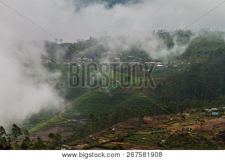 Tea Plantations In Mountains Around Liptons Seat Near Haputale, Sri Lanka