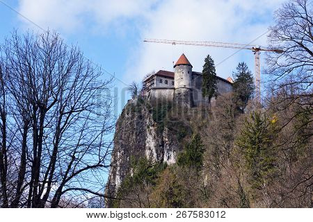 The Castle Of Bled In Slovenia On The Rock Over The Bled Lake