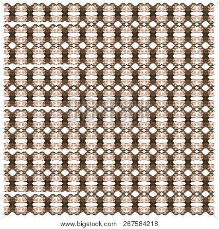 Hippopotamus, Hippopotamus amphibius, in repeated pattern, in front of white background