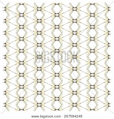 Mayfly, Ephemera danica, in repeated pattern, in front of white background