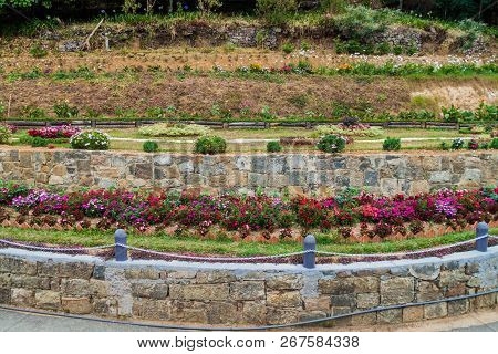 Flowers At The Grounds Of Adisham Monastery Near Haputale, Sri Lanka