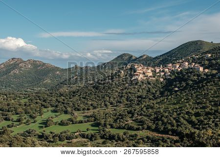 Village Of Belgodere In Balagne Region Of Corsica