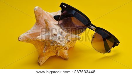 A Large Muslin Shell And Sunglasses On A Yellow Background. The Concept Of Relaxing On The Beach.