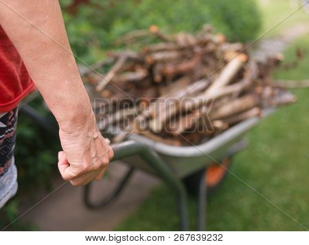 Female Hands Pushing A Trolley ;oaded With Firewood, Olutdoors Cropped Shot