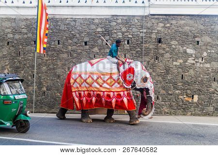 Kandy, Sri Lanka - July 19, 2016: Decorated Elephant On A Street Of Kandy During Poya Full Moon Holi