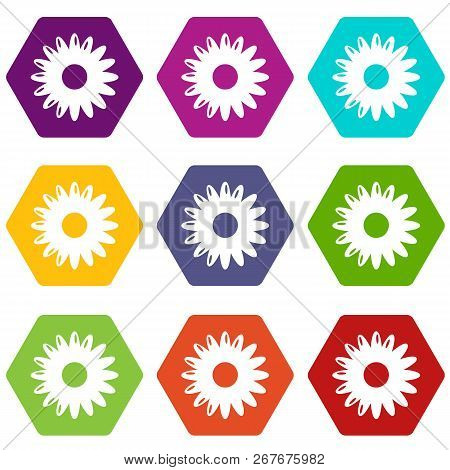 Honey Flower Icons 9 Set Coloful Isolated On White For Web