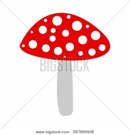 Poisonous Dangerous Mushroom Fly Agaric On White Background