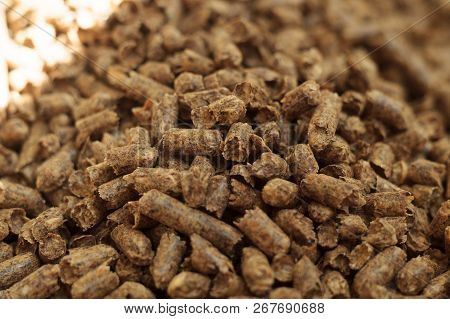 Fuel Wood Pellet Close-up. A Source Of Alternative Clean Energy. A Lot Of Pellet. Natural Fuel And E