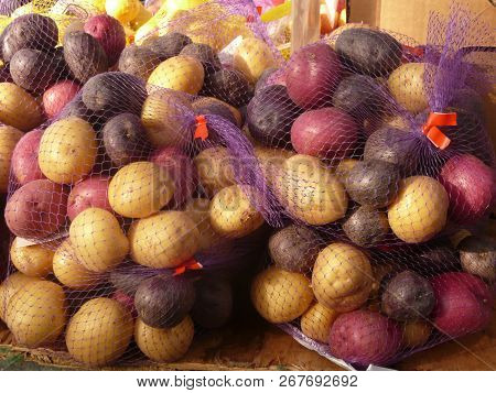 White, Red And Purple Potatoes Mini In Bags