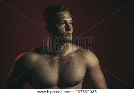 Satisfied With His Work. Strong Man With Muscular Chest. Muscular Man. Construction Worker Or Builde