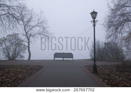Autumn Forest Mist Landscape. Forest Fog Trees Silhouette In Autumn. Autumn Forest Fog Trees Backgro