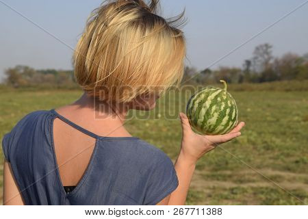 Girl With A Watermelon In Her Hand. Search For Watermelons In The Field Of Melons. Found A Watermelo