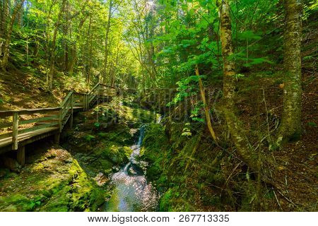 Views Along The Dickson Falls Trail, In Fundy National Park, New Brunswick, Canada