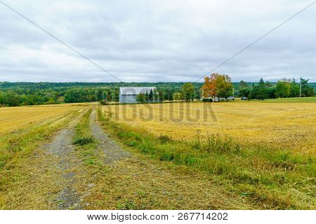 View Of Countryside And Forest In Notre-dame-du-portage, Quebec, Canada