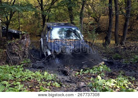 Off-road trip through the woods. Jiping through the forest. Tires in the mud and sport on cars. Wild