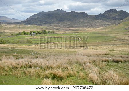 Moorland Near Devoke Water In Duddon Valley, Lake District