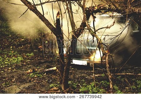 Off-road Trip Through The Woods. Jiping Through The Forest. Tires In The Mud And Sport On Cars. Wild