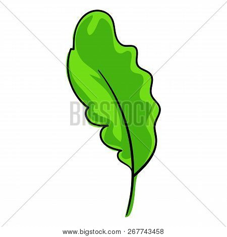 Salat Leaf Icon. Cartoon Of Salat Leaf Icon For Web Design Isolated On White Background