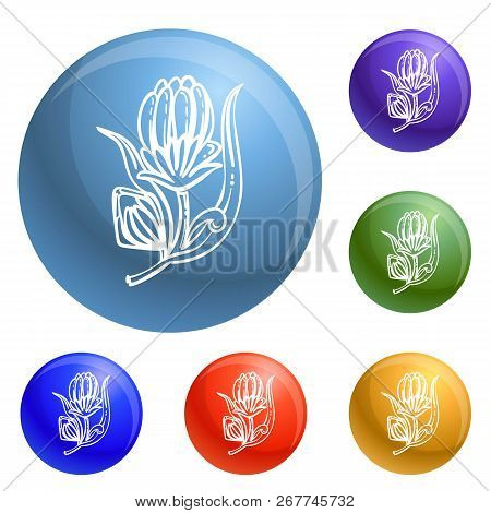 Medicine Calendula Icons Set 6 Color Isolated On White Background