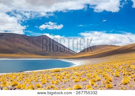 Atacama Altiplana Desert, Laguna Miscanti Salt Lake And Mountains Landscape, Miniques, Chile, South 