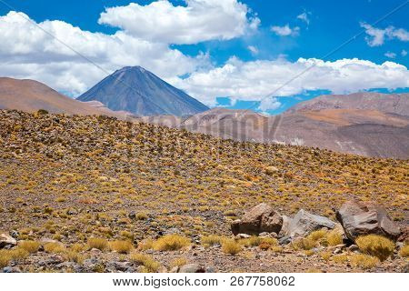 Atacama Altiplana Desert Savanna  And Mountains Landscape, Miniques, Chile, South America