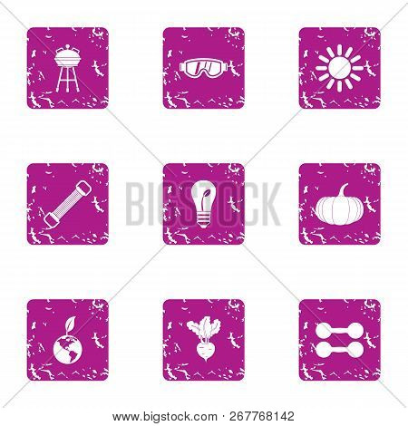 Solar Grill Icons Set. Grunge Set Of 9 Solar Grill Vector Icons For Web Isolated On White Background