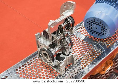 Cross Section Of Worm Gear Pump ; Selective Focus