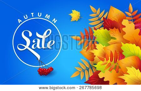 Vector Banner For Autumn Sale With Autumn Colorful Leaves And Advertising Text On Blue Background