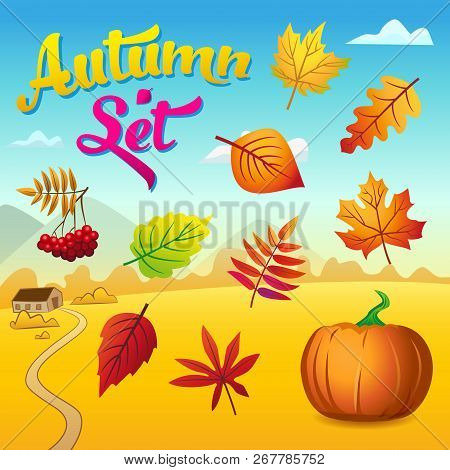 Vector Autumn Set With Autumn Leaves, Rowan And Pumpkin Against The Background Of A Beautiful Autumn