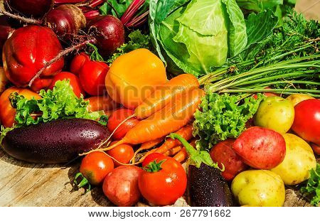 Different Bio Vegetables. Selective Focus. Food Nature.