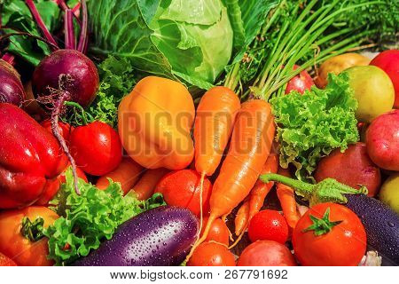 Different Bio Vegetables. Selective Focus. Food Nature.
