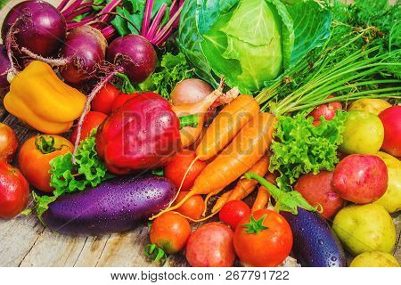Different Bio Vegetables. Selective Focus. Food Nature.