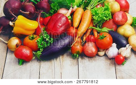 Different Bio Vegetables. Selective Focus. Food Nature.