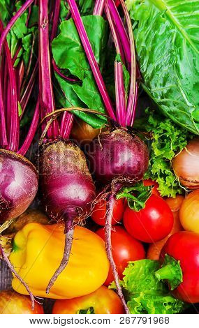 Different Bio Vegetables. Selective Focus. Food Nature.