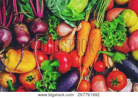 Different Bio Vegetables. Selective Focus. Food Nature.