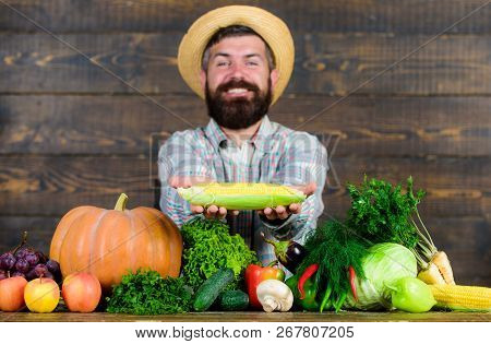 Grow Organic Crops. Farmer Straw Hat Presenting Fresh Vegetables. Man Cheerful Bearded Farmer Hold C