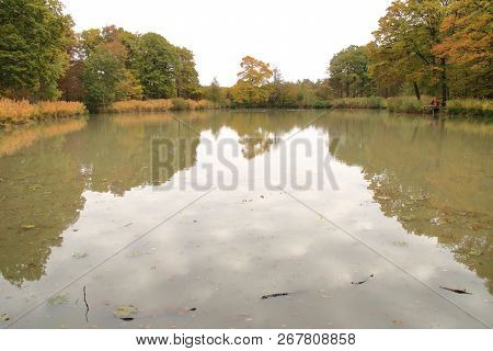 Hamberger Lake In The Area Stromberg In Baden-wuerttemberg In Germany