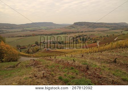 View Into A Vineyard In The Landscape Stromberg In Germany