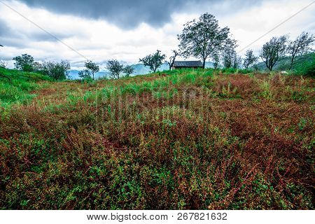 Photo Of Landscape Of Bhimtal In Nainital, Uttarakhand, India
