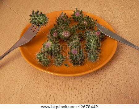 Salata kaktüs dan