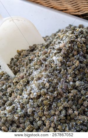 Important Ingredient In Traditional Italian Cuisine, Salted Capers, Capparis Fruits, Pickled Flower 