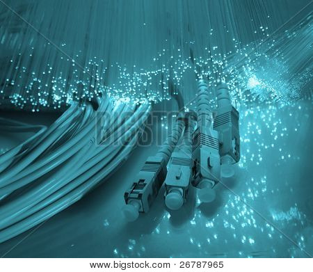 cable de red se conecte a Internet