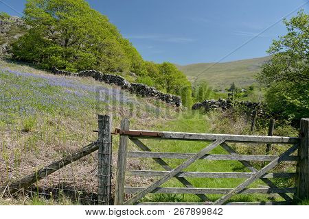 Path In The Duddon Valley Or Dunnerdale, In The English Lake District